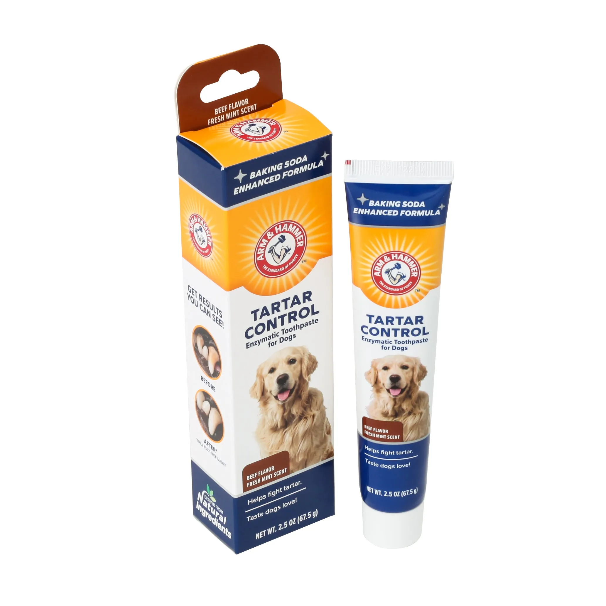Arm & Hammer Tartar Control Enzymatic Toothpaste for Dogs, Beef Flavor