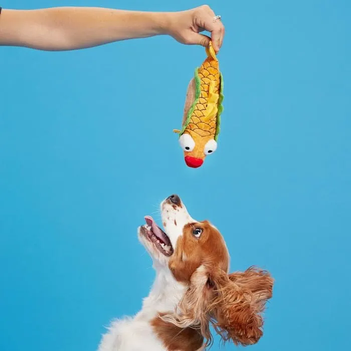 Bark Box Ernesto the Fish Taco Squeaky Plush Dog Toy