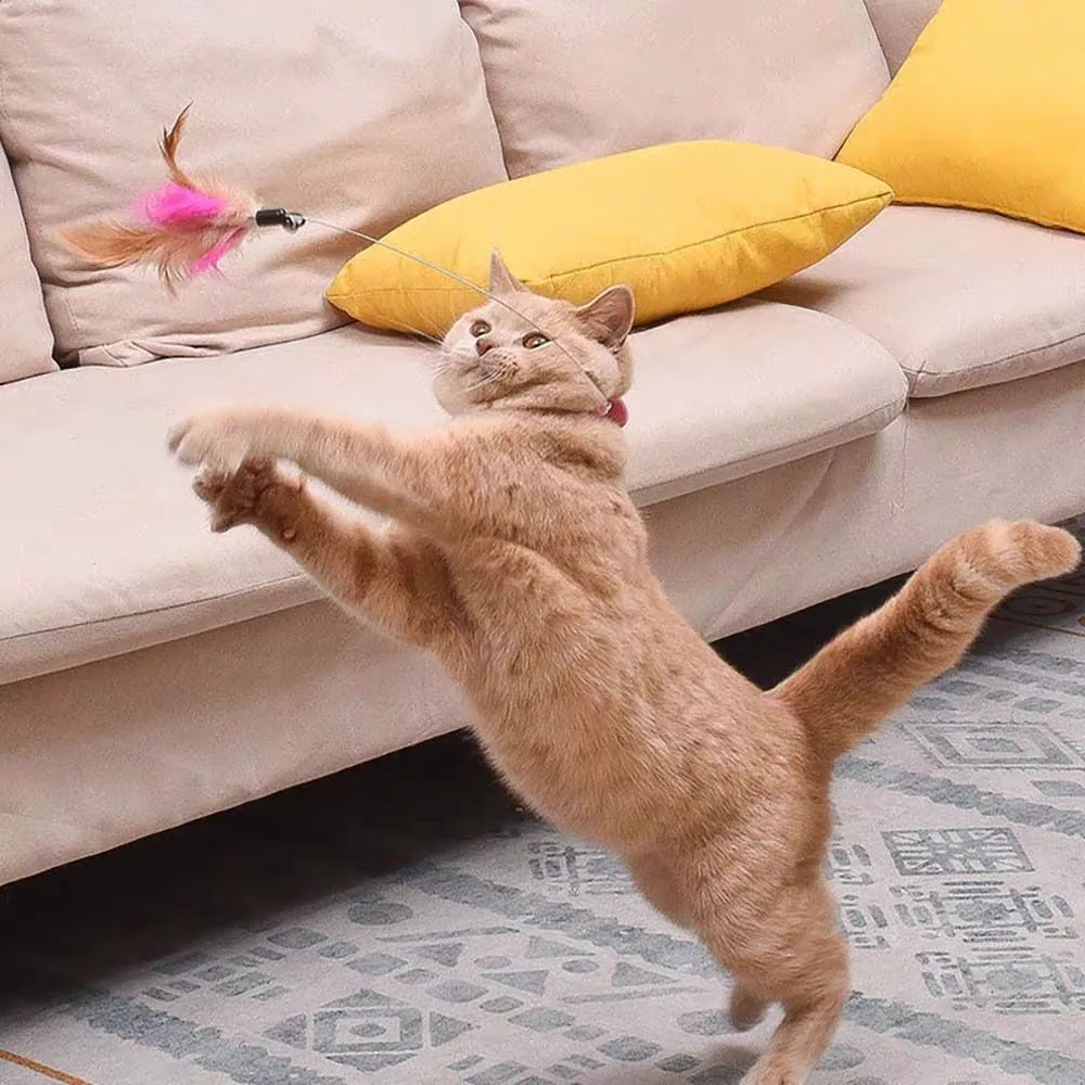 Cat Toys Feather Collar Self-healing
