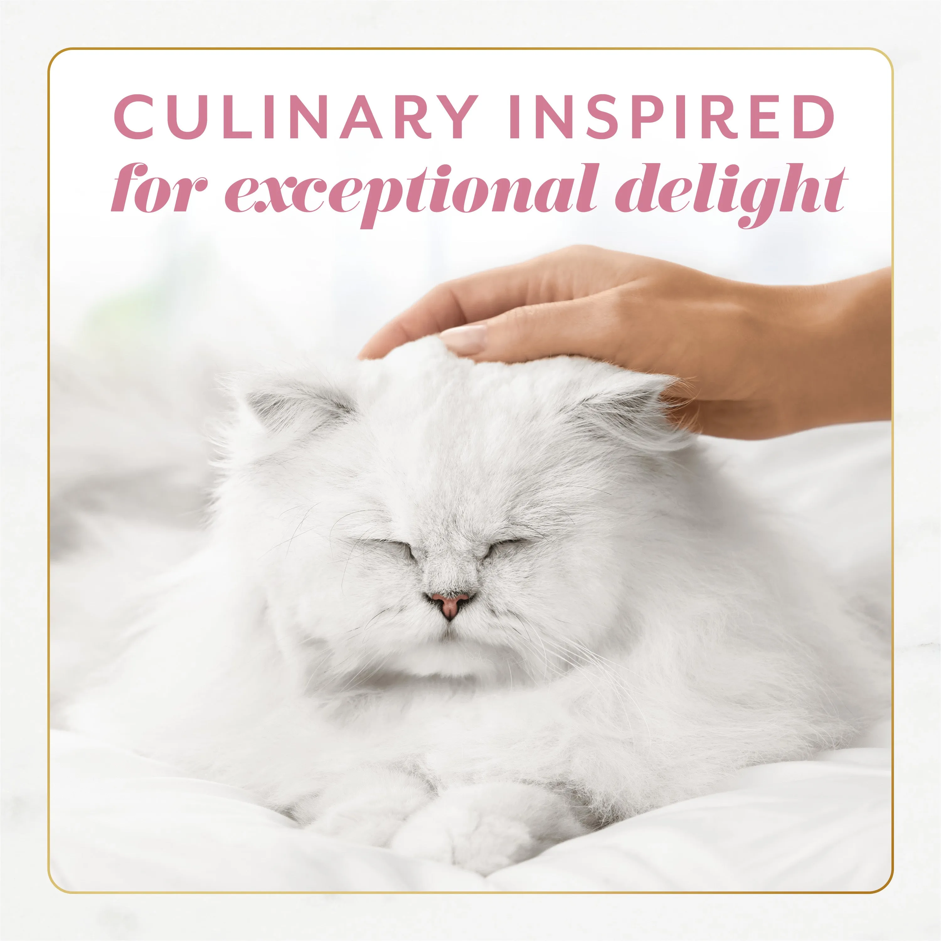Fancy Feast Gems Mousse Pate, 12ct Salmon (Dual Packs - 24 Entrees)