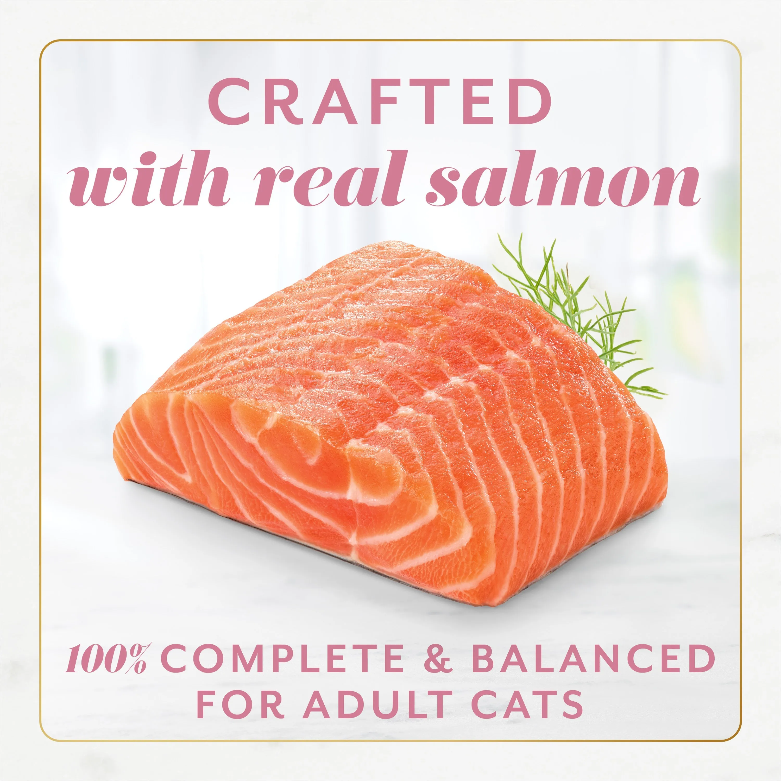 Fancy Feast Gems Mousse Pate, 12ct Salmon (Dual Packs - 24 Entrees)