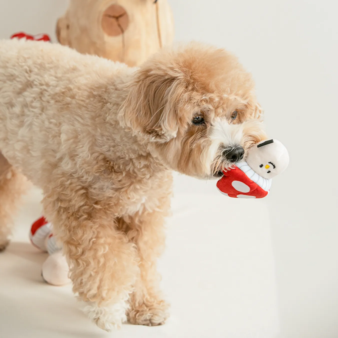Mushroom Nosework Dog Toy