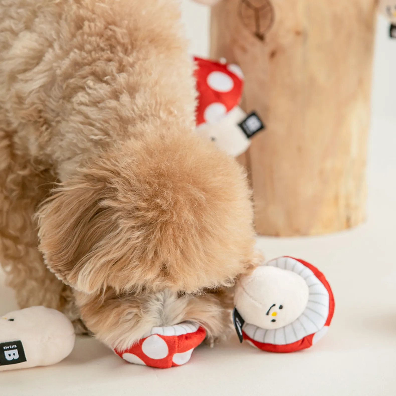 Mushroom Nosework Dog Toy
