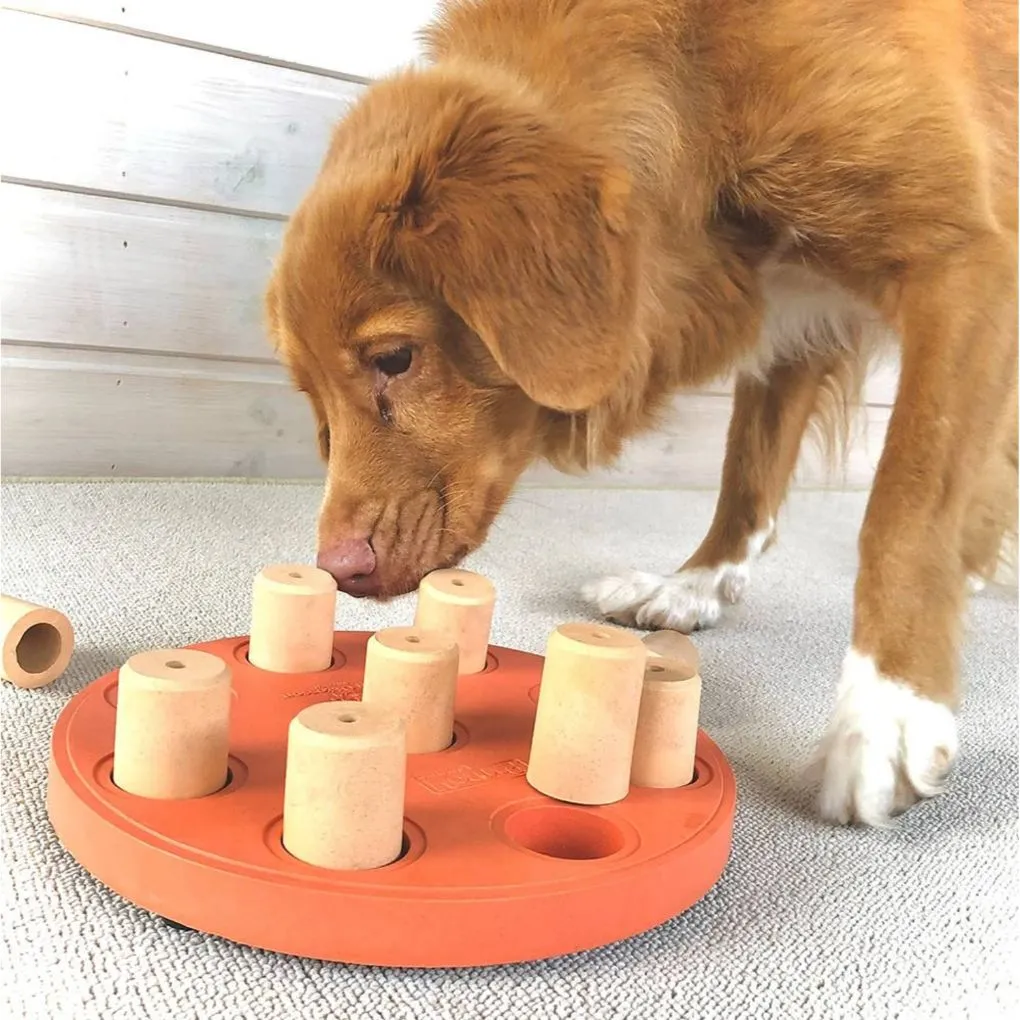 Nina Ottosson Dog Enrichment Toy Smart Composite - Orange