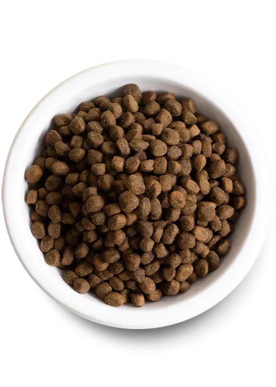 Open Farm - Grain Free Pasture Raised Lamb - Dry Dog Food