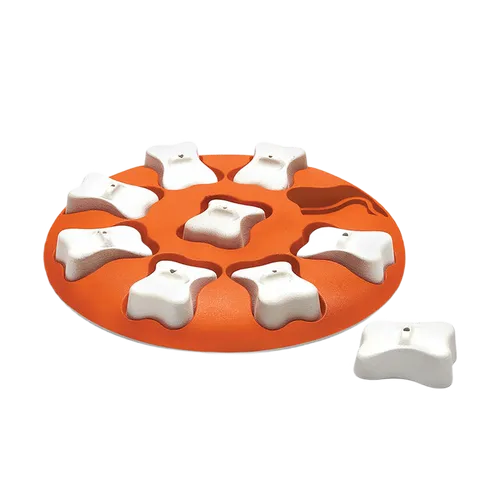 Outward Hound Dog Puzzle Dog Smart