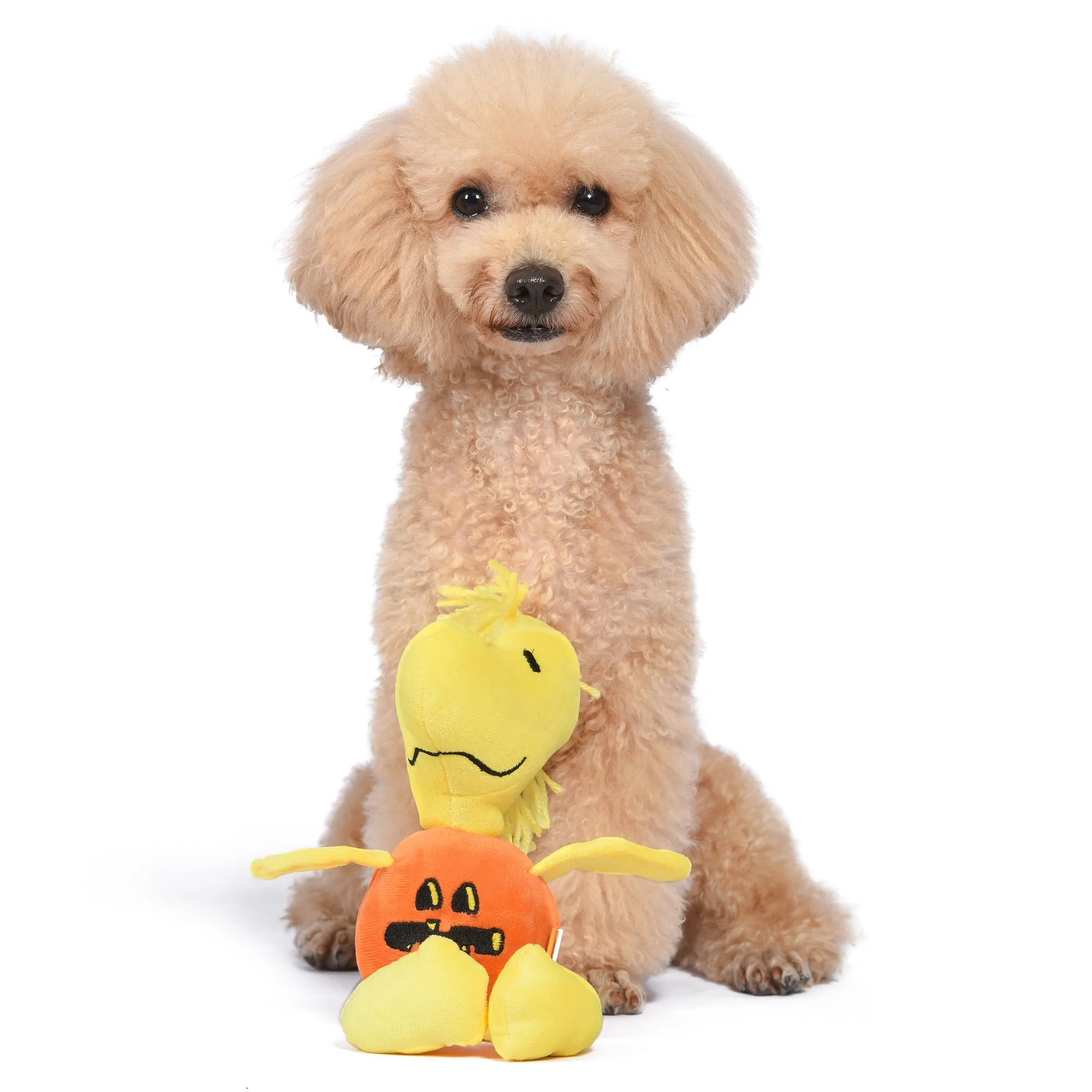 Peanuts: Halloween Woodstock Pumpkin Plush Squeaker Toy