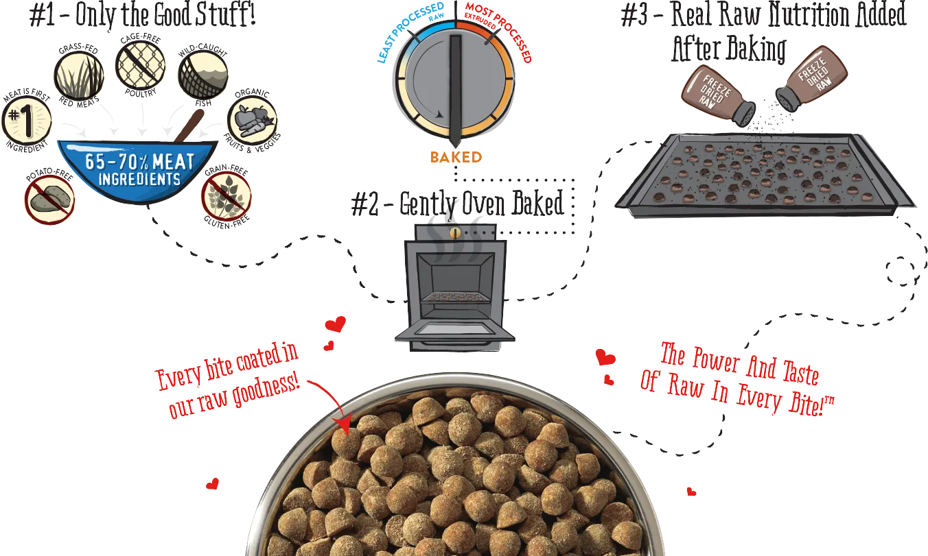 Stella & Chewy's Dry Dog Food Raw Coated Grain-Free Cage-Free Duck Recipe