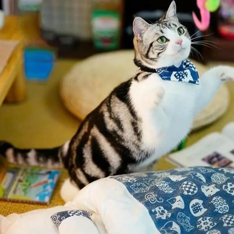 Warm Cat Sleeping Bag